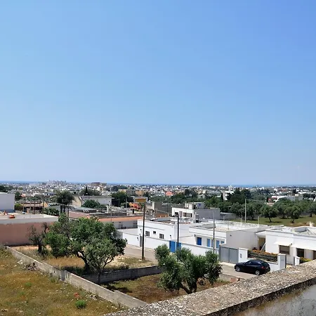 Poggio فيلة *